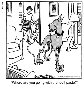 marmaduke